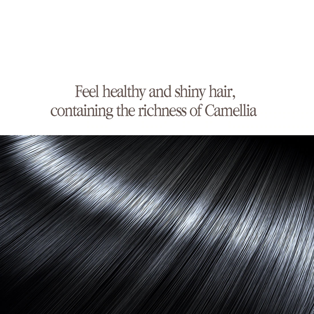 Pyunkang Yul Herbal Hair Loss Control Treatment 500ml Beauty