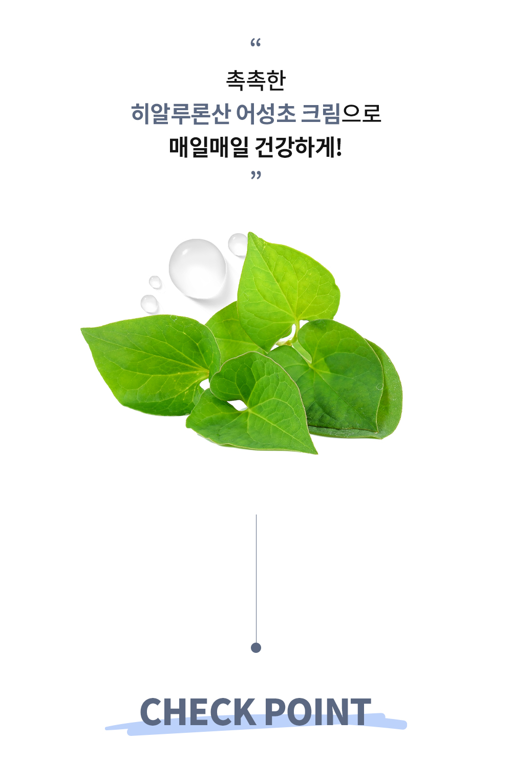 esfolio - Hyaluronic Acid Houttuynia Cordata Cream - 50g | Beauty Amora ...